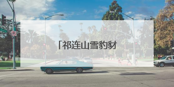 祁连山雪豹豺狼同框现身