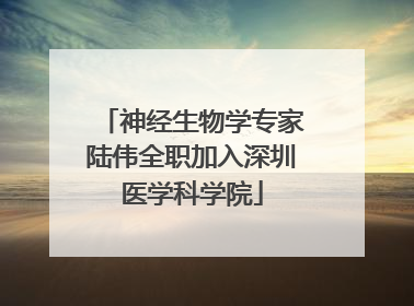 神经生物学专家陆伟全职加入深圳医学科学院