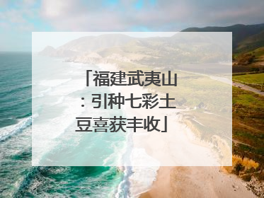 福建武夷山：引种七彩土豆喜获丰收