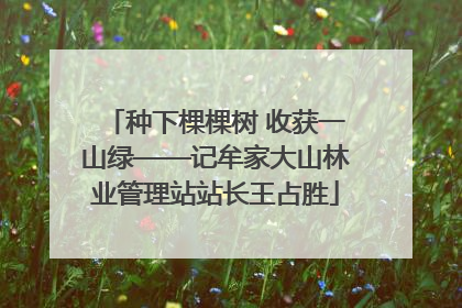 种下棵棵树 收获一山绿——记牟家大山林业管理站站长王占胜