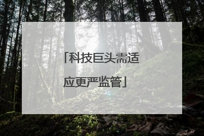 科技巨头需适应更严监管