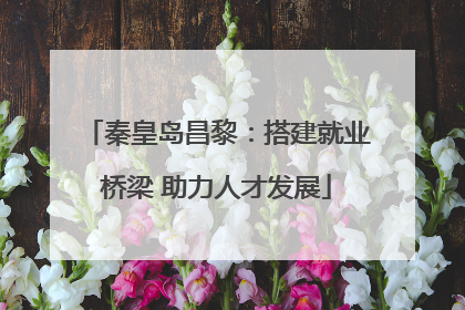 秦皇岛昌黎：搭建就业桥梁 助力人才发展