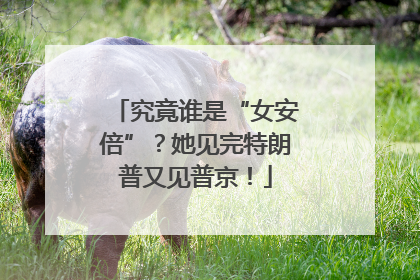 究竟谁是“女安倍”？她见完特朗普又见普京！