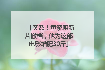 突然！黄晓明新片撤档，他为这部电影增肥30斤