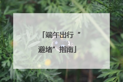端午出行“避堵”指南