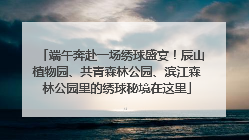 端午奔赴一场绣球盛宴！辰山植物园、共青森林公园、滨江森林公园里的绣球秘境在这里