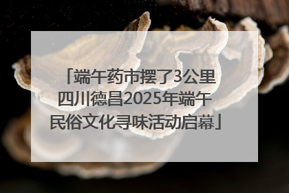 端午药市摆了3公里 四川德昌2025年端午民俗文化寻味活动启幕