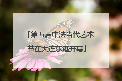 第五届中法当代艺术节在大连东港开幕