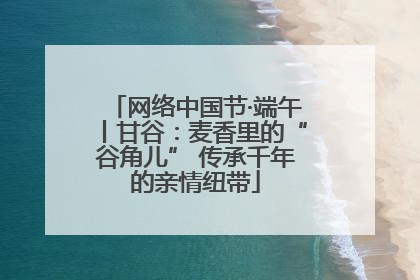 网络中国节·端午丨甘谷：麦香里的“谷角儿” 传承千年的亲情纽带