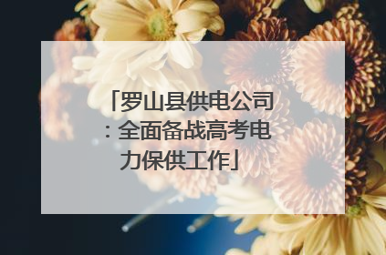 罗山县供电公司：全面备战高考电力保供工作
