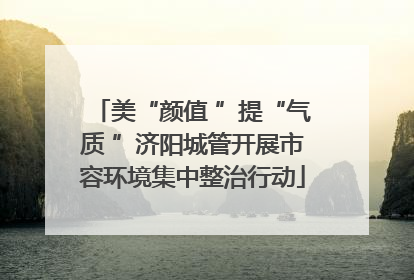 美“颜值 ”提“气质 ”济阳城管开展市容环境集中整治行动