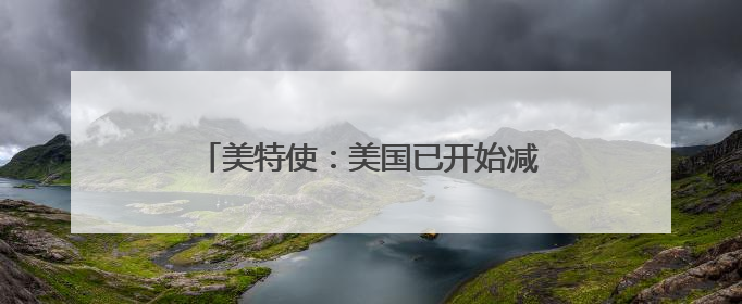 美特使：美国已开始减少在叙利亚的军事存在