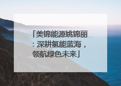 美锦能源姚锦丽：深耕氢能蓝海，领航绿色未来