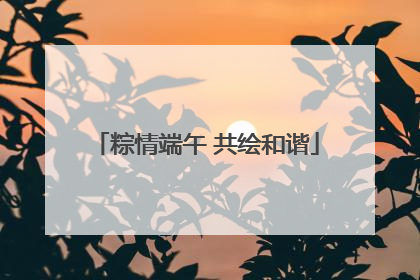 粽情端午 共绘和谐