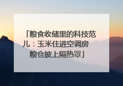 粮食收储里的科技范儿：玉米住进空调房 粮仓披上隔热罩