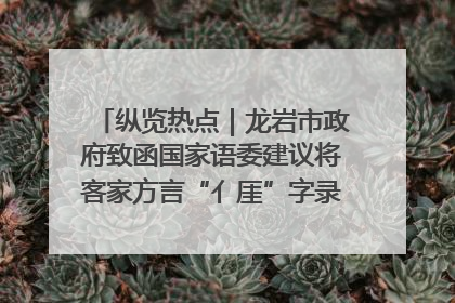 纵览热点｜龙岩市政府致函国家语委建议将客家方言“亻厓”字录入《新华字典》引发热议，当地回应
