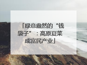 绿意盎然的“钱袋子”：高原夏菜成富民产业
