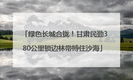 绿色长城合拢！甘肃民勤380公里锁边林带缚住沙海