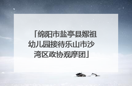 绵阳市盐亭县嫘祖幼儿园接待乐山市沙湾区政协观摩团