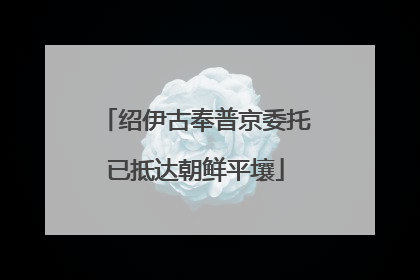 绍伊古奉普京委托已抵达朝鲜平壤