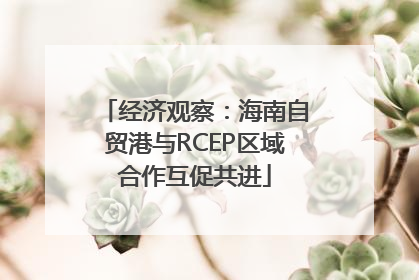 经济观察：海南自贸港与RCEP区域合作互促共进