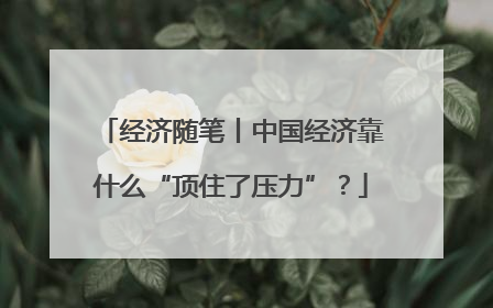 经济随笔丨中国经济靠什么“顶住了压力”？