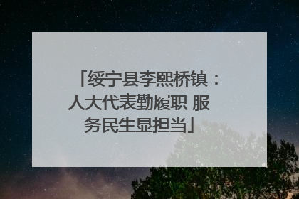 绥宁县李熙桥镇：人大代表勤履职 服务民生显担当