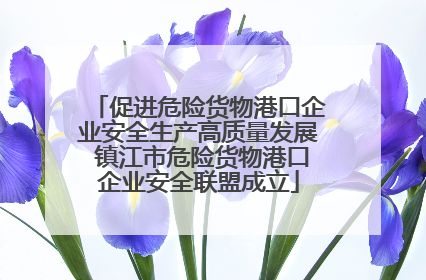 促进危险货物港口企业安全生产高质量发展 镇江市危险货物港口企业安全联盟成立