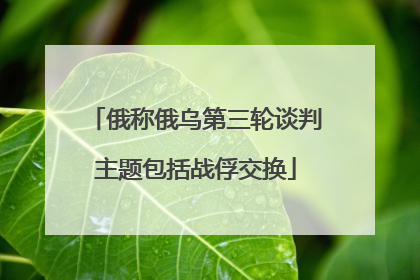 俄称俄乌第三轮谈判主题包括战俘交换