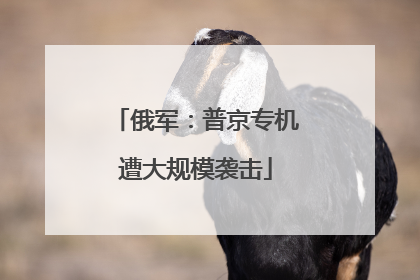俄军：普京专机遭大规模袭击