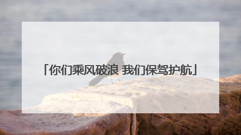 你们乘风破浪 我们保驾护航
