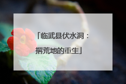 临武县伏水洞：撂荒地的重生