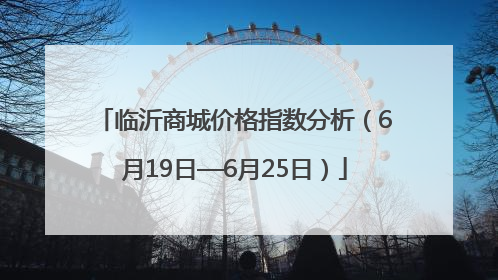 临沂商城价格指数分析（6月19日—6月25日）
