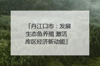 丹江口市：发展生态鱼养殖 激活库区经济新动能