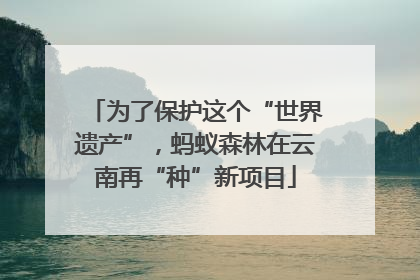 为了保护这个“世界遗产”，蚂蚁森林在云南再“种”新项目