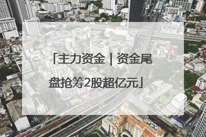 主力资金｜资金尾盘抢筹2股超亿元