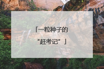 一粒种子的“赶考记”