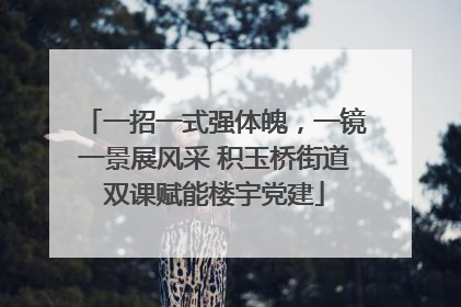 一招一式强体魄，一镜一景展风采 积玉桥街道双课赋能楼宇党建