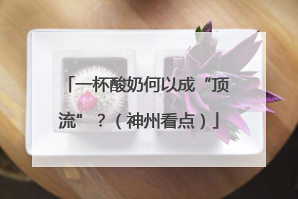 一杯酸奶何以成“顶流”？（神州看点）
