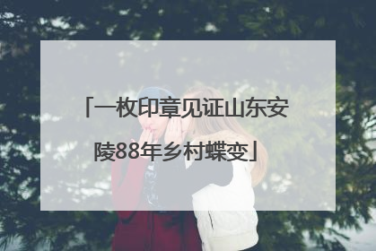 一枚印章见证山东安陵88年乡村蝶变