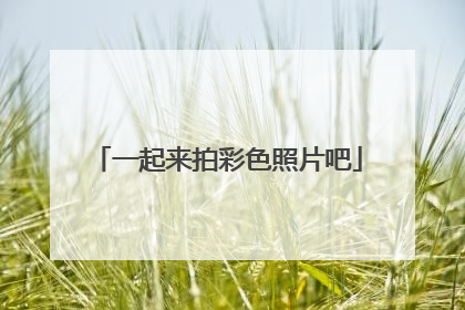 一起来拍彩色照片吧