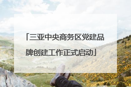 三亚中央商务区党建品牌创建工作正式启动
