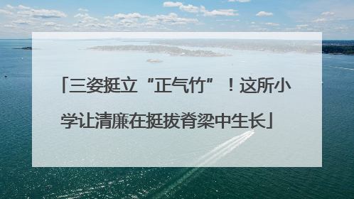 三姿挺立“正气竹”！这所小学让清廉在挺拔脊梁中生长