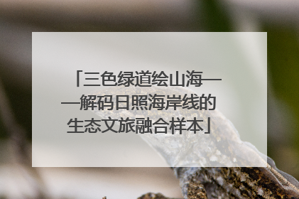 三色绿道绘山海——解码日照海岸线的生态文旅融合样本