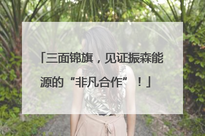三面锦旗，见证振森能源的“非凡合作”！