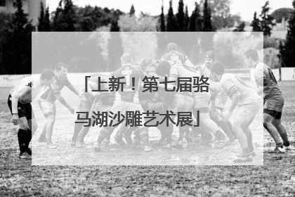 上新！第七届骆马湖沙雕艺术展