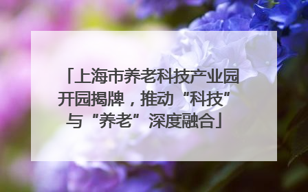 上海市养老科技产业园开园揭牌，推动“科技”与“养老”深度融合