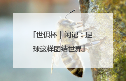 世俱杯｜闲记：足球这样团结世界