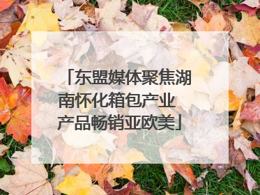 东盟媒体聚焦湖南怀化箱包产业 产品畅销亚欧美