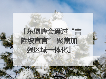 东盟峰会通过“吉隆坡宣言” 聚焦加强区域一体化
